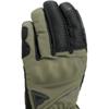 DAINESE-gants-trento-d-dry-thermal-image-87793761