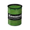 NOSTALGICART-tirelire-kawasaki-image-131239542