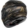 SHOEI-casque-gt-air-3-nile-tc-9-image-118689664