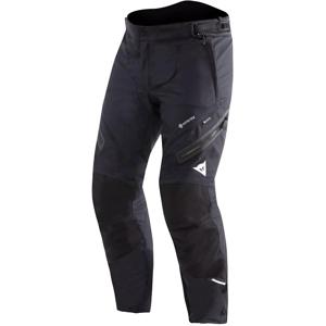 DAINESE-Pantalon CARVE MASTER 4 GORE-TEX