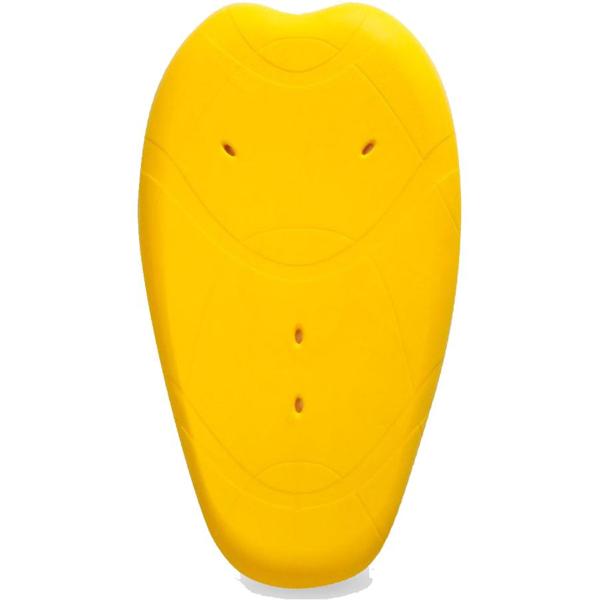 RACER-dorsale-sastec-level1-image-44530572-cover-0