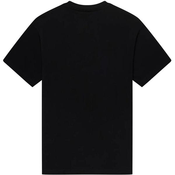 FOX-tee-shirt-head-heavyweight-image-157572880-cover-1