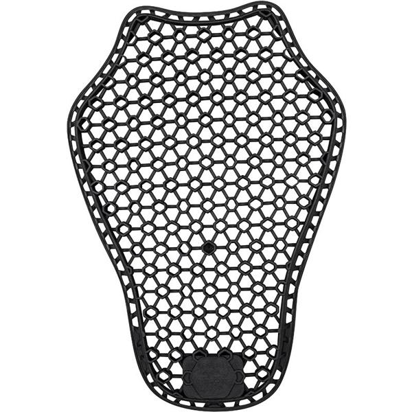 BERING-dorsale-alpha-dorsale-image-50772668-cover-0