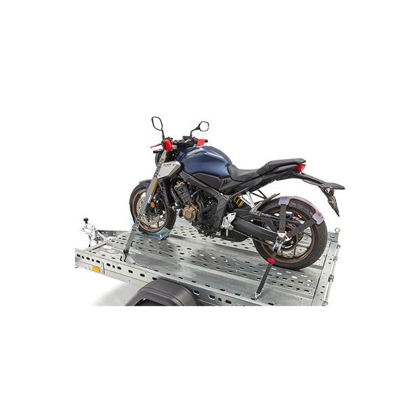 ACEBIKES-elingue-buckle-up-image-56376119-cover-0