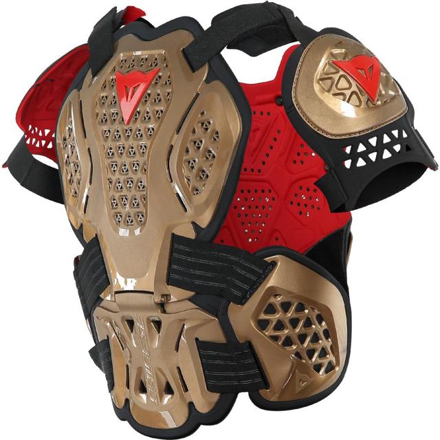 MX DAINESE-gilet-de-protection-mx2-roost-guard-image-56376653-cover-1