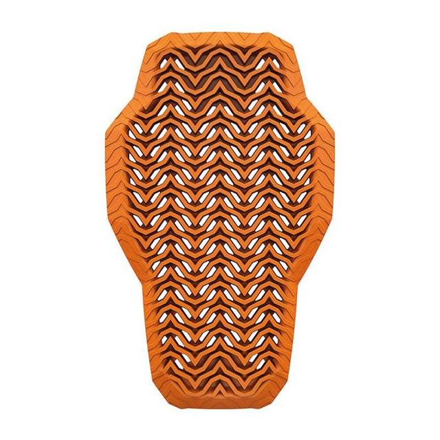 RICHA-dorsale-d3o-image-137422347-cover-0