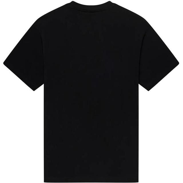 FOX-tee-shirt-head-heavyweight-image-157572880-cover-1