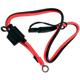 MAXXE-cable-connecteur-pour-chargeur-intelligent-maxxe-image-11518693-thumbnail-0
