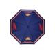 REPSOL-parapluie-honda-repsol-image-55236285-thumbnail-1