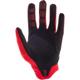 FOX-gants-cross-airline-image-86072423-thumbnail-1