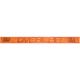 OVERLAP-ceinture-sam-camel-image-32684210-thumbnail-1