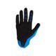 FOX-gants-cross-airline-image-118616973-thumbnail-1