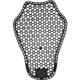 BERING-dorsale-alpha-dorsale-image-50771978-thumbnail-0